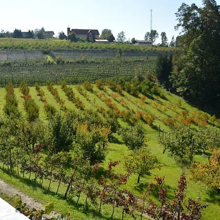 Obstbauernhof Planner Frühstückspension